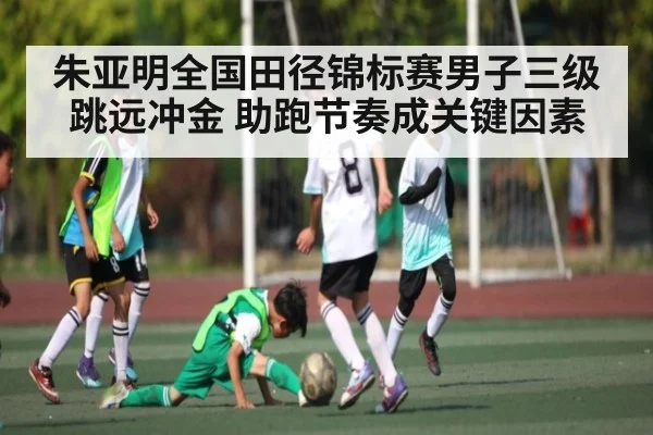 朱亚明全国田径锦标赛男子三级跳远冲金 助跑节奏成关键因素