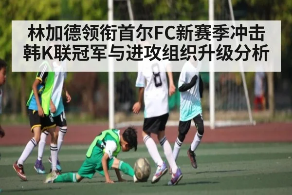 林加德领衔首尔FC新赛季冲击韩K联冠军与进攻组织升级分析